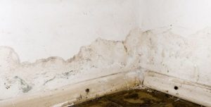 How Water Damage Can Ruin Your Perfectly Normal Day