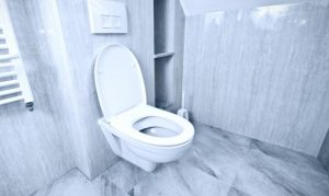 A Guide to Choosing Eco-Friendly and Low Flush Toilets.jpg
