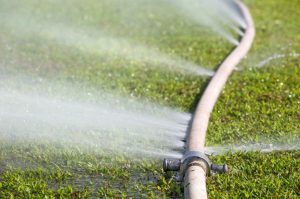 Top Ten Ways You Waste Water