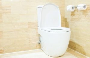 How Your Toilet Actually Works