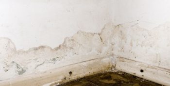 How Water Damage Can Ruin Your Perfectly Normal Day